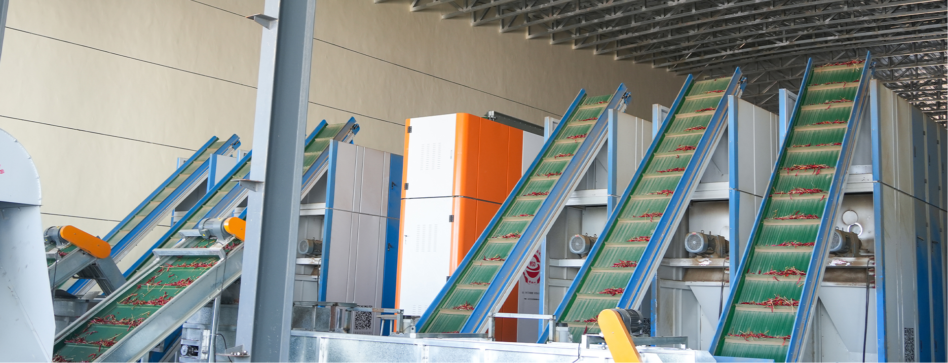 Chili stalks removed