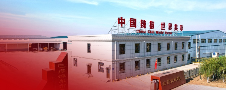 走进AG试玩平台