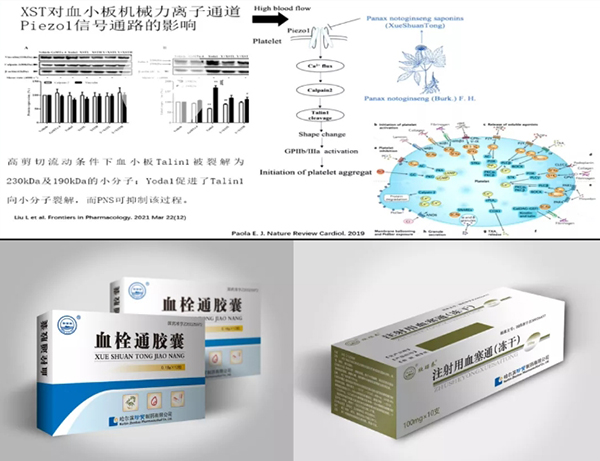 1632887739 首页-BB贝博艾弗森公司官网
